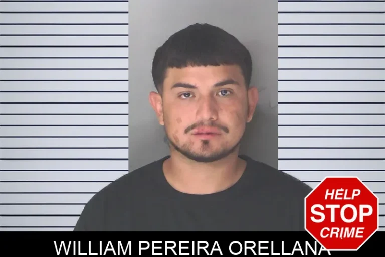 William Pereira Orellana