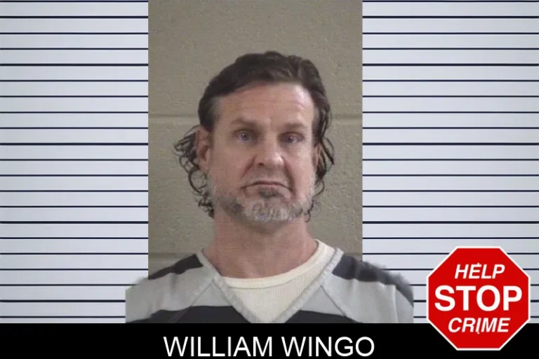 William Wingo