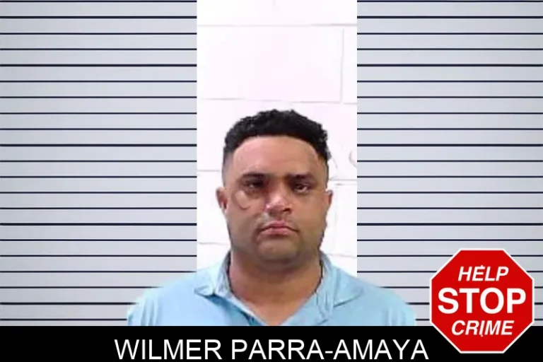 Wilmer Parra-Amaya