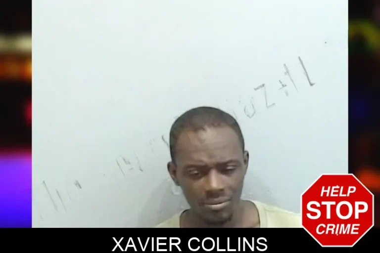 Xavier Collins