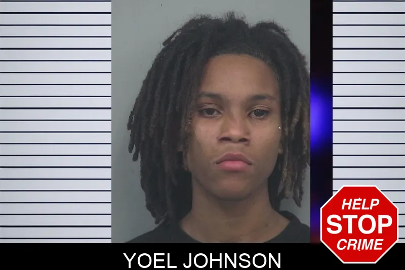 Yoel Johnson mugshot – Gwinnett County , Georgia Yoel Johnson mugshot