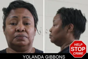 Yolanda Gibbons mugshot