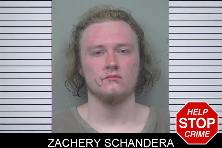 Zachery Schandera mugshot – Gwinnett County , Georgia Zachery Schandera