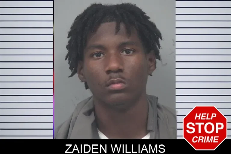 Zaiden Williams mugshot – Gwinnett County , Georgia Zaiden Williams