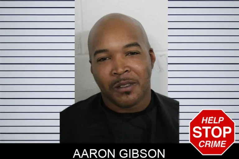 Aaron Gibson