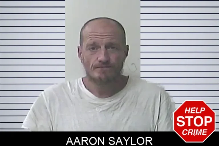 Aaron Saylor