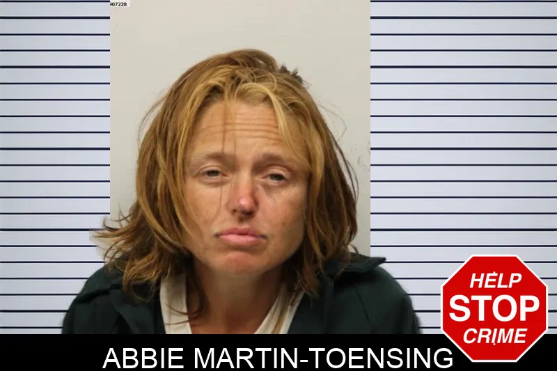 Abbie Martin-Toensing mugshot – Chatham County , Georgia Abbie Martin-Toensing mugshot