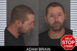 Adam Brain mugshot