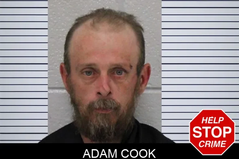 Adam Cook