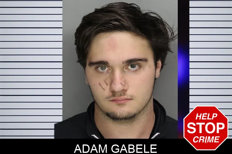 Adam Gabele mugshot – Cobb County , Georgia Adam Gabele mugshot