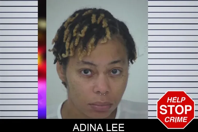 Adina Lee mugshot – Fayette County , Georgia Adina Lee