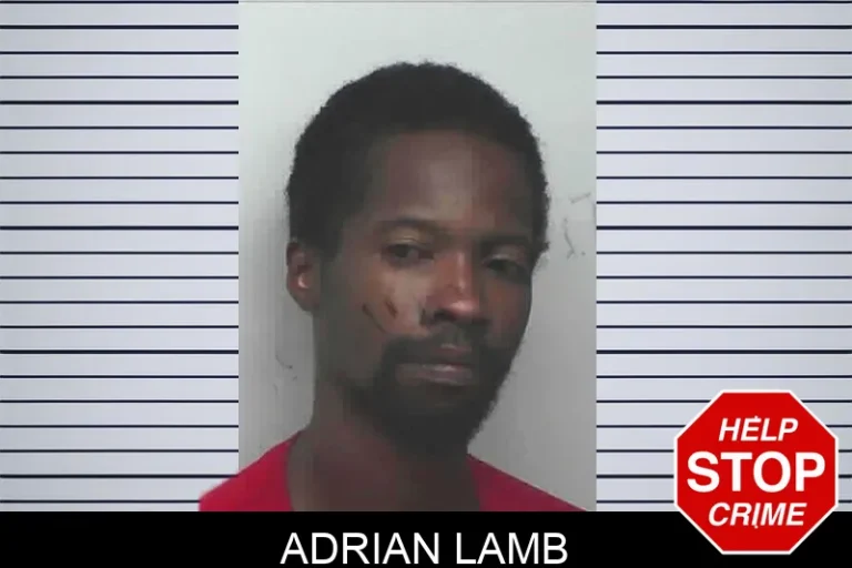 Adrian Lamb