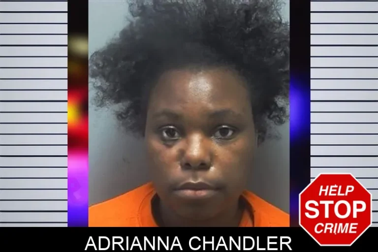 Adrianna Chandler mugshot – Cherokee County , Georgia Adrianna Chandler
