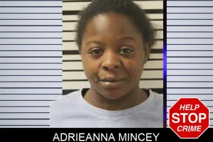 Adrieanna Mincey mugshot
