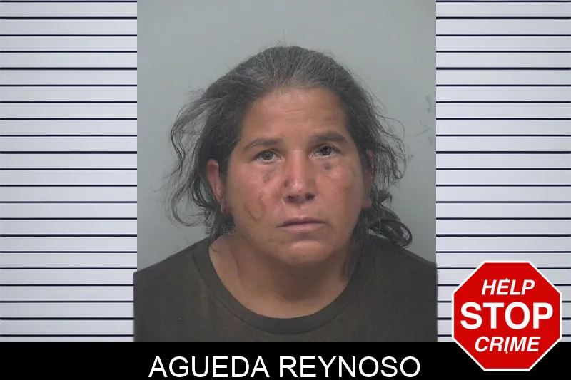 Agueda Reynoso mugshot