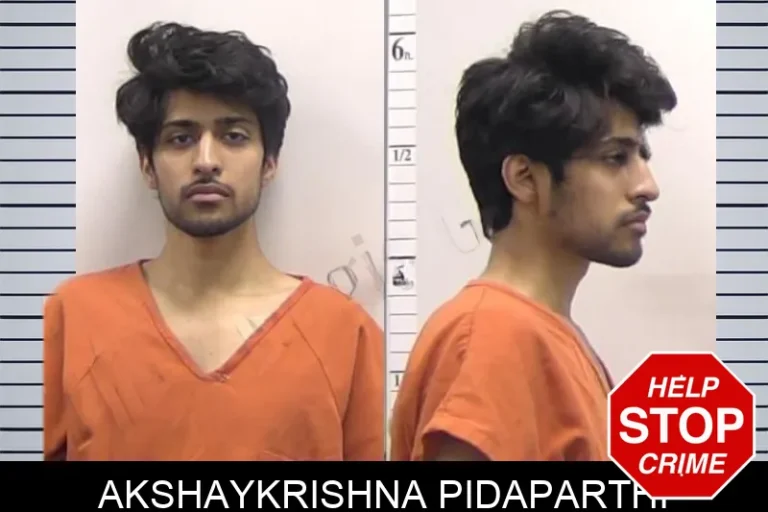 Akshaykrishna Pidaparthi