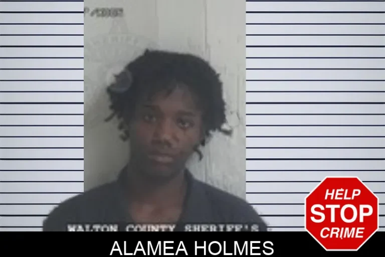 Alamea Holmes mugshot – Walton County , Georgia Alamea Holmes
