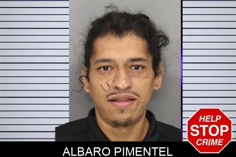 Albaro Pimentel