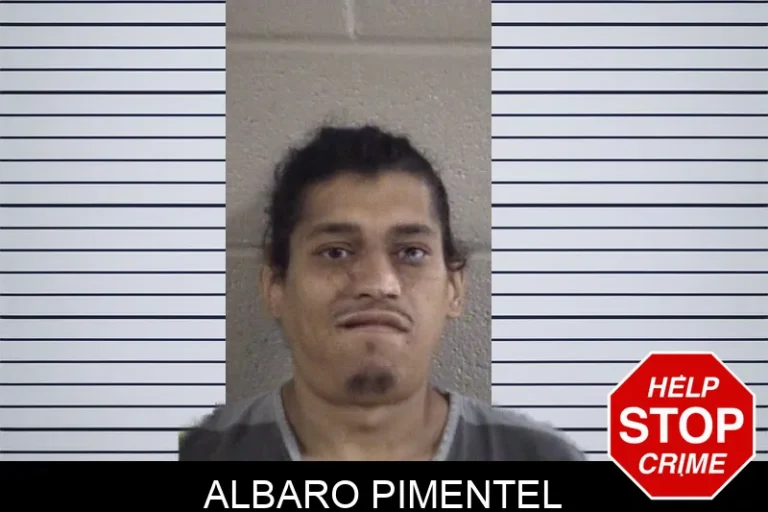 Albaro Pimentel mugshot – Whitfield County , Georgia Albaro Pimentel