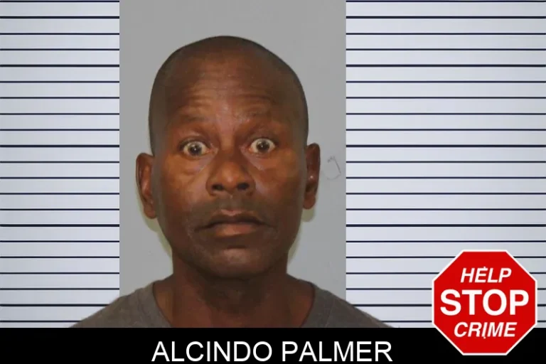 Alcindo Palmer