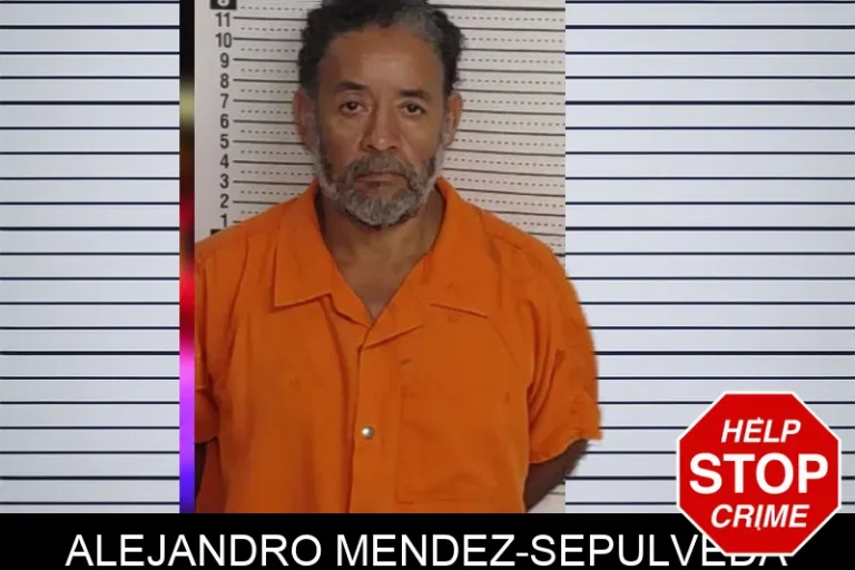 Alejandro Mendez-Sepulveda