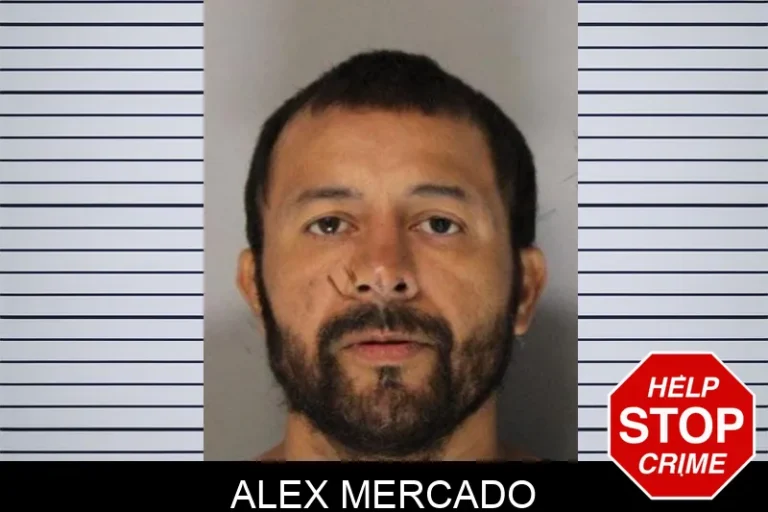 Alex Mercado