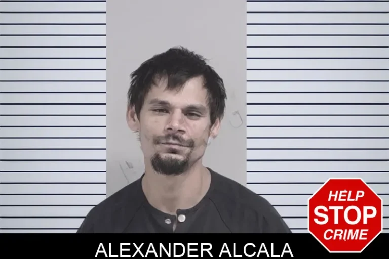 Alexander Alcala