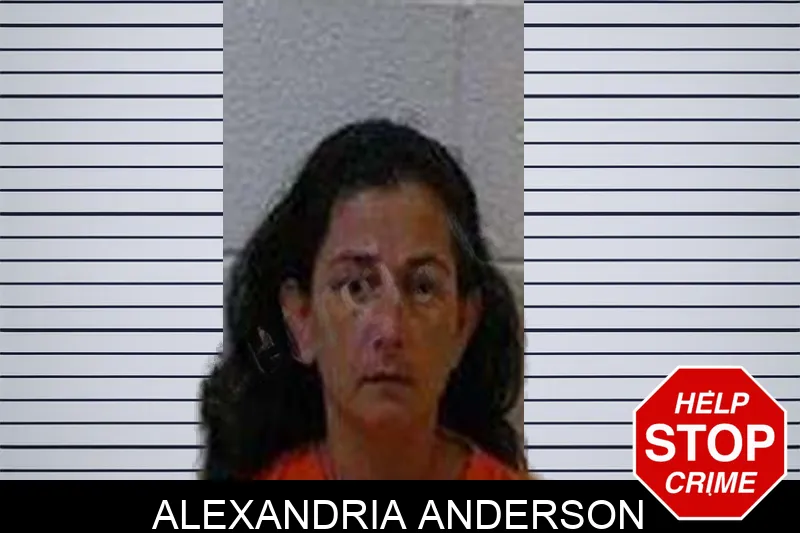 Alexandria Anderson mugshot