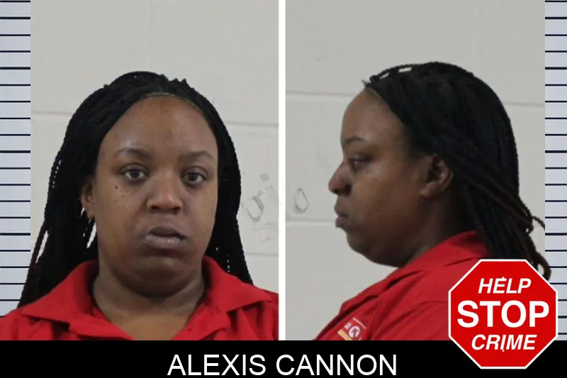 Alexis Cannon mugshot – Houston County , Georgia Alexis Cannon mugshot