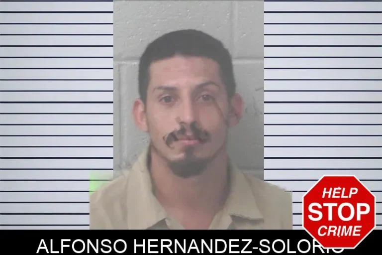 Alfonso Hernandez-Solorio