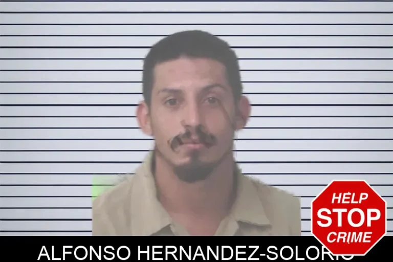 Alfonso Hernandez-Solorio