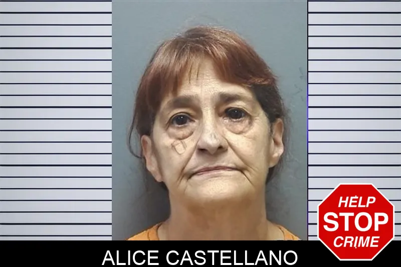 Alice Castellano mugshot – Cherokee County , Georgia Alice Castellano mugshot