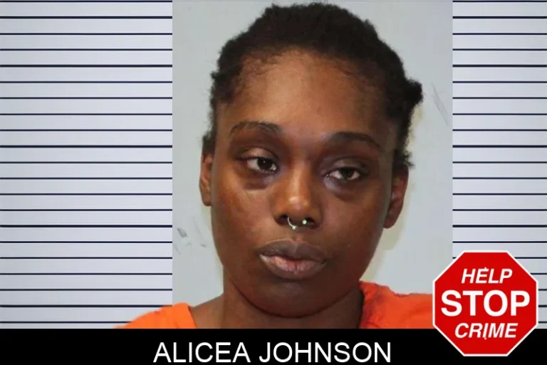 Alicea Johnson mugshot – Seminole County , Georgia Alicea Johnson