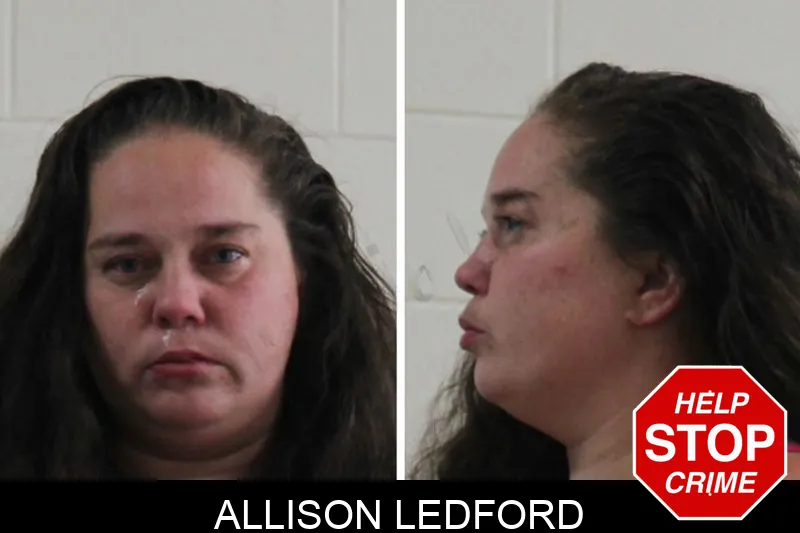 Allison Ledford Mugshots
