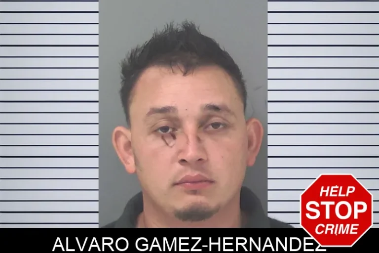 Alvaro Gamez-Hernandez mugshot – Douglas County , Georgia Alvaro Gamez-Hernandez