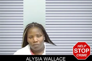 Alysia Wallace mugshot