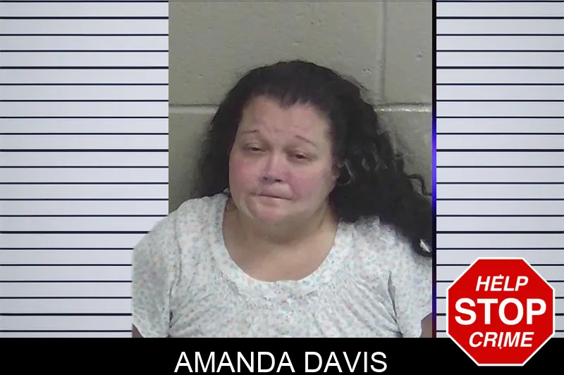 Amanda Davis Mugshots