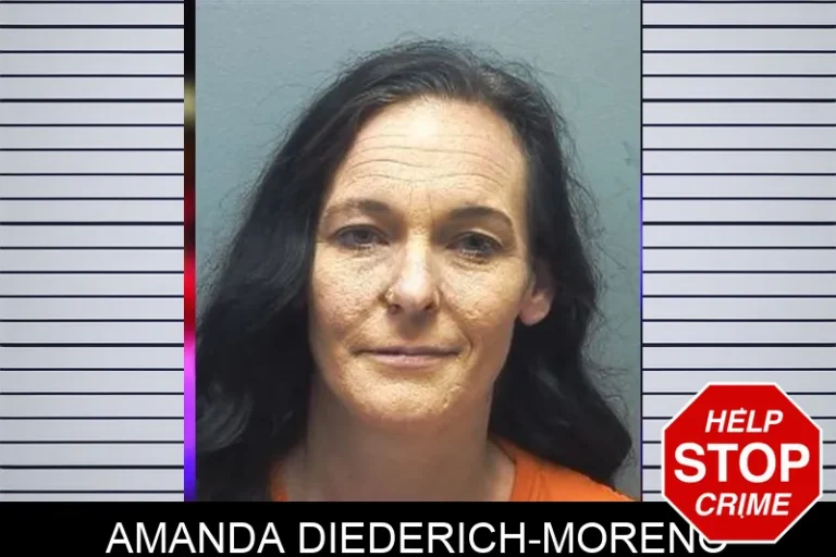 Amanda Diederich-Moreno mugshot – Cherokee County , Georgia Amanda Diederich-Moreno