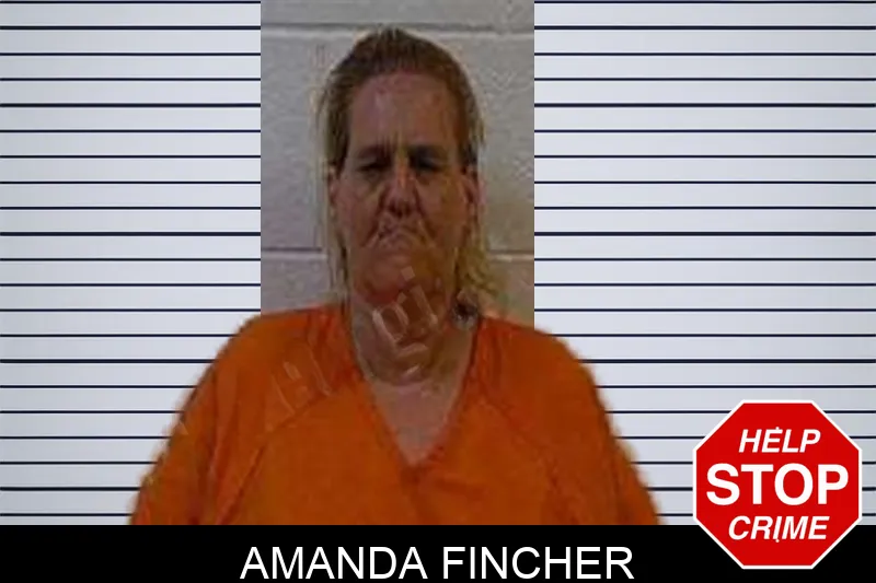 Amanda Fincher Mugshots