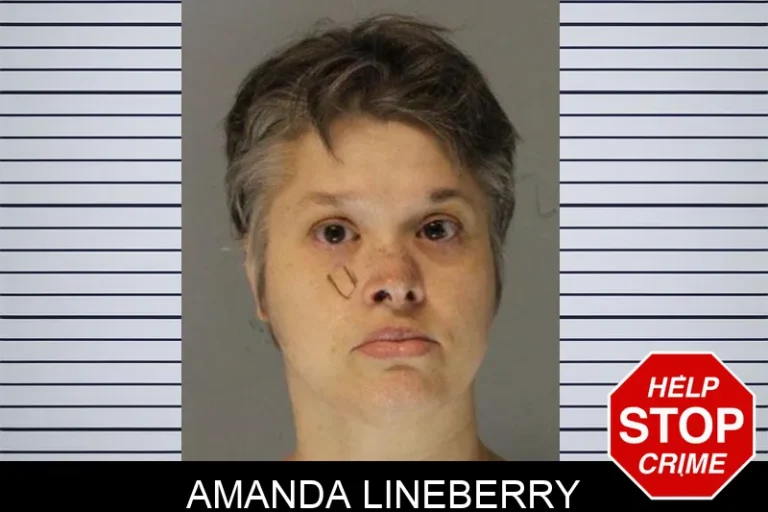 Amanda Lineberry mugshot – Hall County , Georgia Amanda Lineberry