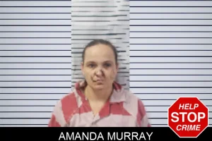 Amanda Murray mugshot