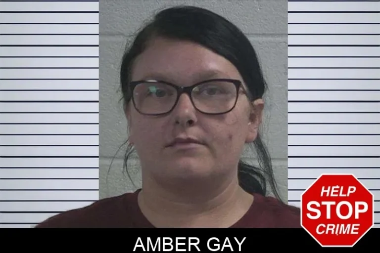 Amber Gay mugshot – McDuffie County , Georgia Amber Gay