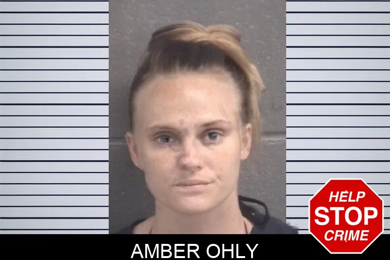 Amber Ohly Mugshots