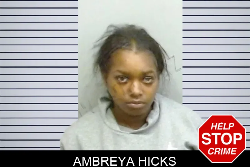 Ambreya Hicks mugshot – Fulton County , Georgia Ambreya Hicks mugshot