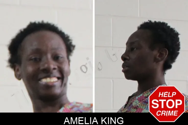Amelia King mugshot – Houston County , Georgia Amelia King