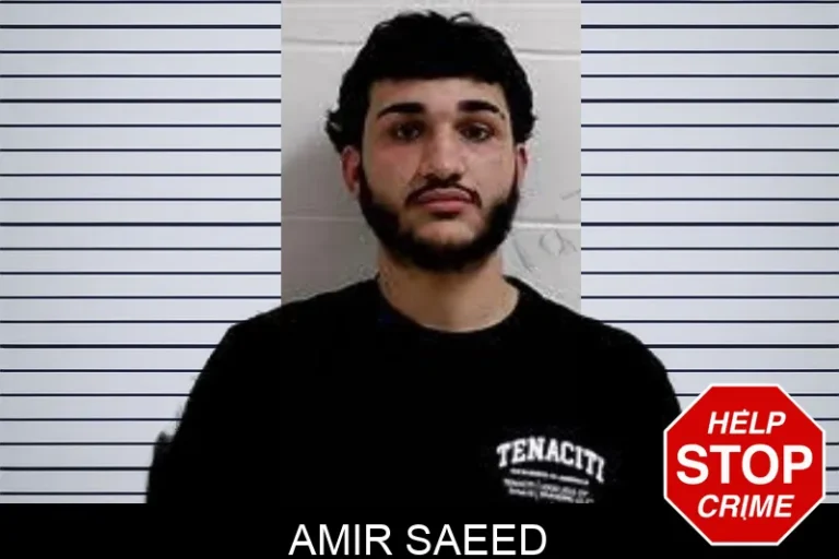 Amir Saeed