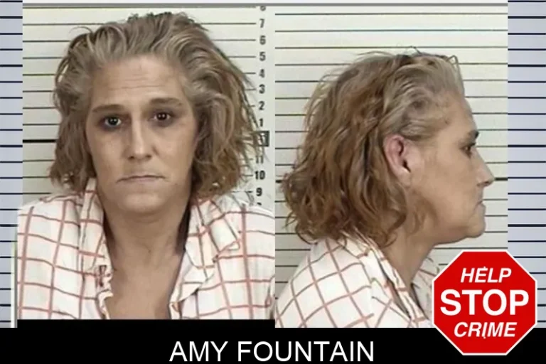 Amy Fountain