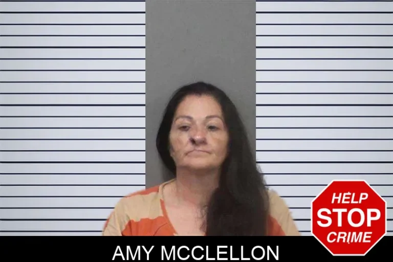 Amy McClellon