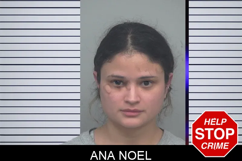 Ana Noel mugshot – Gwinnett County , Georgia Ana Noel mugshot