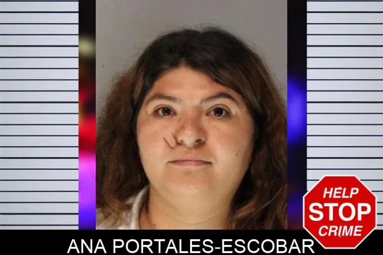 Ana Portales-Escobar mugshot – Hall County , Georgia Ana Portales-Escobar